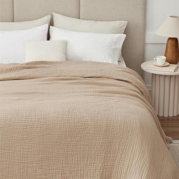 Dreamsoft Silver Blanket